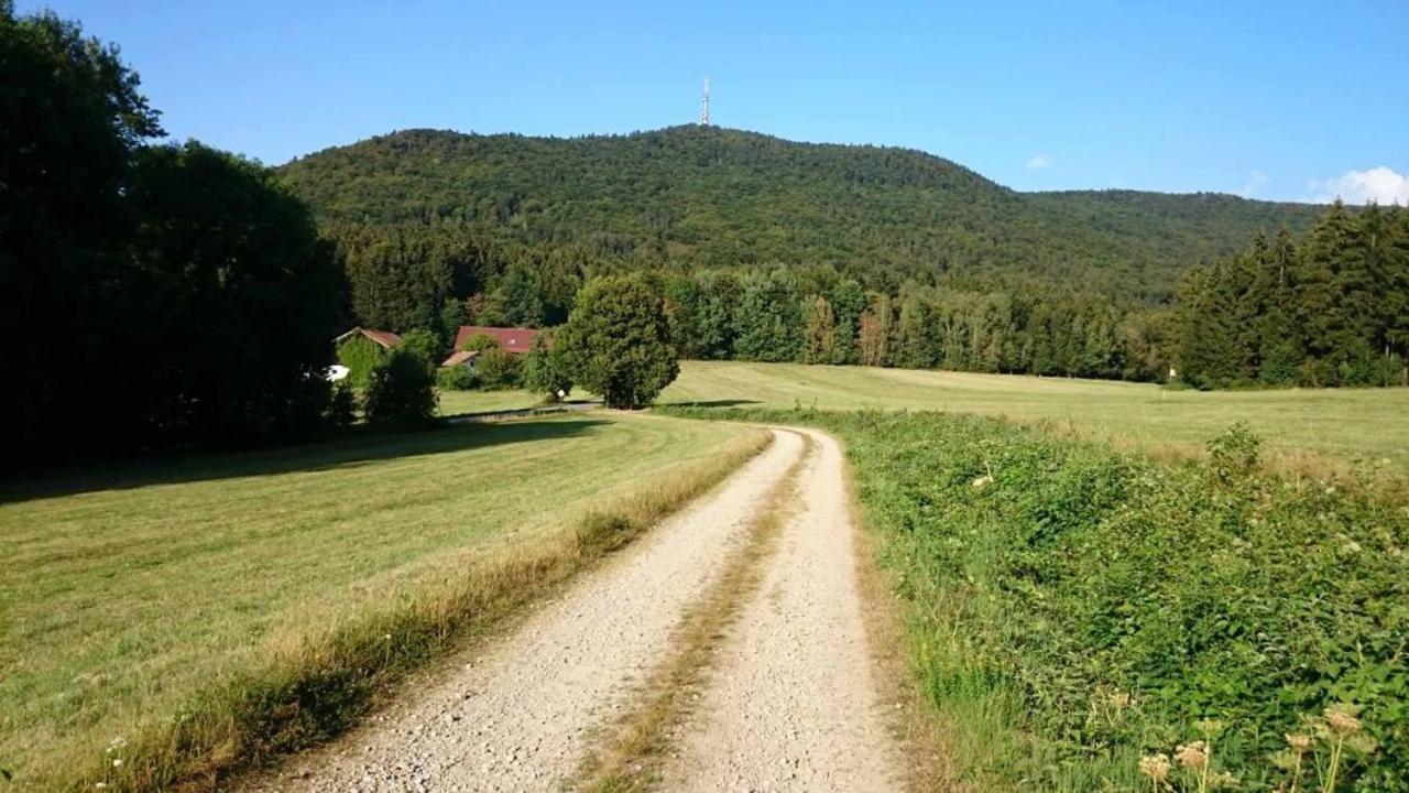 Teufelsbauer Apartment Rimbach (Bavaria)
